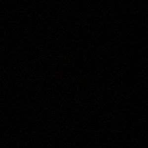 Meet your Posher, Cookie